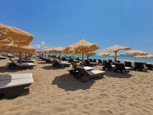 Samanà Punta Prosciutto Porto Cesareo Spiagge Italia
